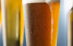 Beer Immersion
