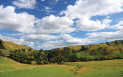 nz cities