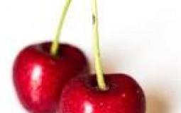 Fruits