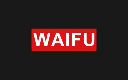Anime Waifu List