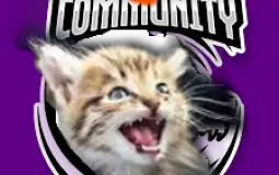 cat pack rank list