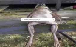 xd