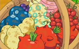 Pokemon Berries
