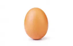 Oeuf