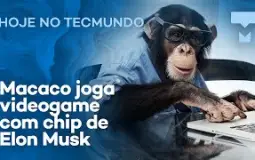 Macacos