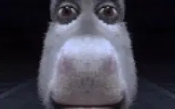 uwu
