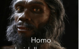 Early hominins