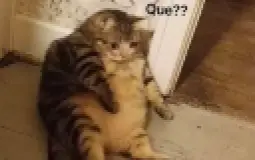 982719871298471987491241