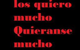 top pendejos