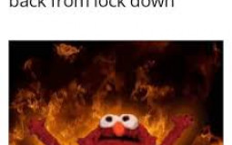 Ranking Gymnastics memes