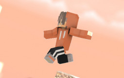 Minecraft Skins ok