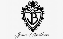 jonasbrothers music video ranking