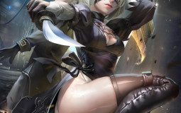 Video game waifu