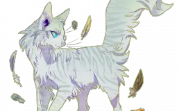 Cat colours