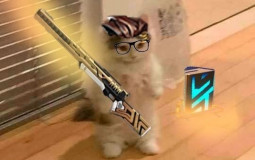 Fodd