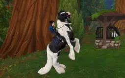 star stable