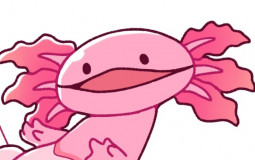 for acorn