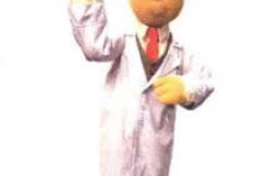 Standing Muppets