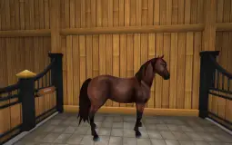 Star Stable Horses