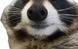 ae