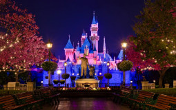 Disneyland Attractions