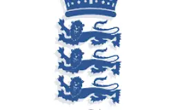 English cricket rizz