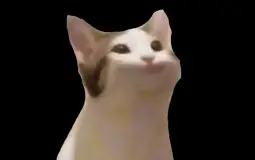 StarClan's Refuge High Rank Tier List