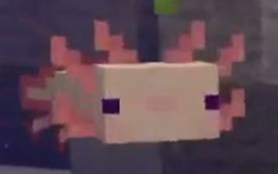 Minecraft Axolotls