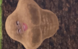 Ukgukdgkudgkugs