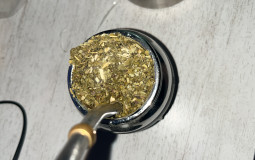 PINA