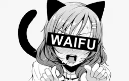 Anime Waifu Tier List
