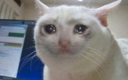 My life tiered on how stable and happy I am