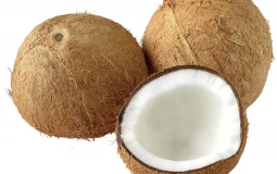 coconuts