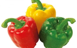 Paprika