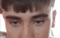 2020 Mice Tekify