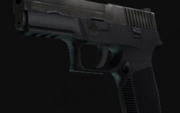 P250