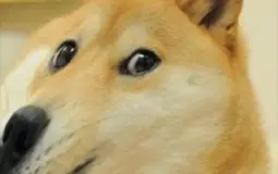 Hhhhdjf