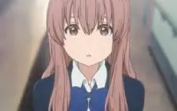 husbando / waifu