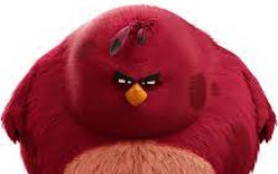 Angry birds 2 birds