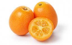 Citrus