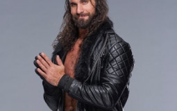 Seth Rollins figure