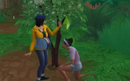 Best sims