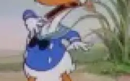 Discord gayness