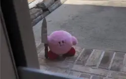 Lærerne