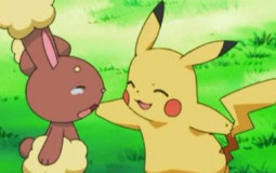 Anipoke Ships