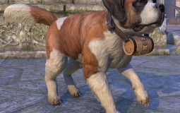 ESO dogs tier list