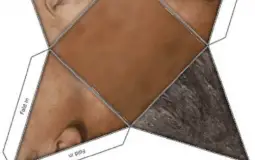 Dozenten