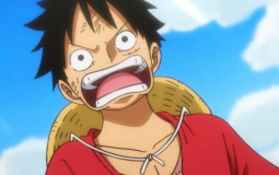 One Piece Characters and arcs