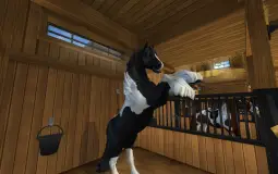 HODNOCENÍ KONÍ