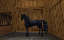 All my Star Stable horses